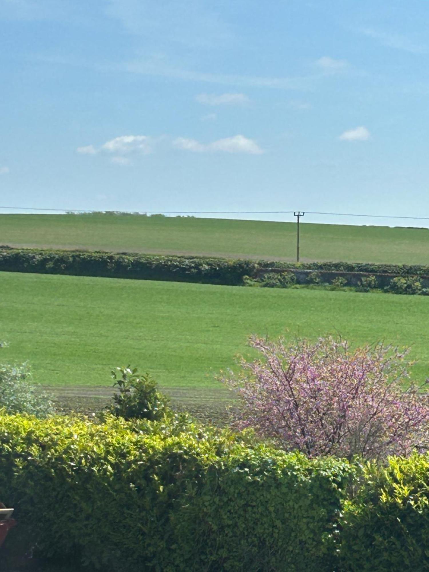 فندق The White Horse برنهام ماركت المظهر الخارجي الصورة